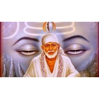 Sai Placement Services logo - Similar company to Aditya Clean Energy