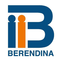Berendina Micro Investments Company Limited logo - Similar company to Scorpio Hr Solutions