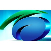 Baiyang Investment Group Inc logo - Similar company to Zoneadslmobile