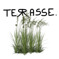 Terrasse Agency logo - Similar company to Restaurant Ryô