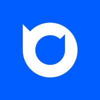 Brain Digits logo - Similar company to Right Clicks