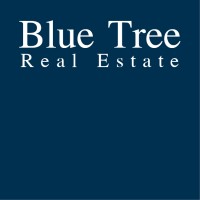 Blue Tree Real Estate Gmbh