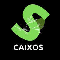 Caixos Consultancy Services logo - Similar company to Rda Climate Solutions