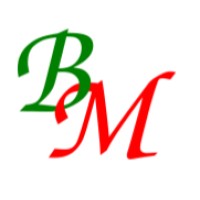 Bigmachini Enterprises LTD logo - Similar company to Chebu Pharmaceutical Limited