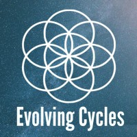 Evolving Cycles Online logo - Similar company to Finaccess.Ro