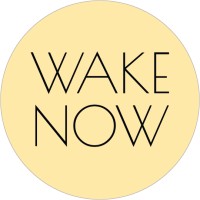 Wake NOW (Network of Women) logo - Similar company to Your Brand Networker Llc