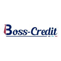 Boss Credit logo - Similar company to Virtech Sa De Cv