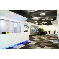 China Skyline Telecom Co., Ltd logo - Similar company to Syeconmax