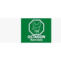 Octagon Kennels logo - Similar company to Crimeshield Security Ltd