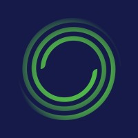 Netsmart logo - Similar company to Sentra Information Technologies