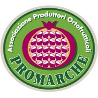 PROMARCHE - Associazione Produttori Ortofrutticoli logo - Similar company to Avinsis