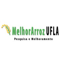 MelhorArroz UFLA logo - Similar company to Rural Campo (Grupo Machrent)