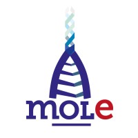 MolE - Molecular Engineering Lab @ Politecnico di Torino logo - Similar company to H2020 Project Alternative