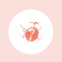 Seed Magazine logo - Similar company to Yolkworks