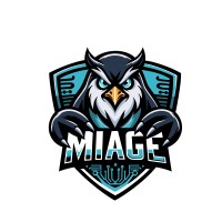 BDE MIAGE Nice logo - Similar company to Hints.Fr