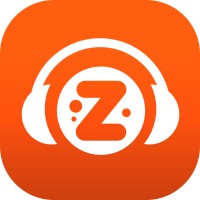 Zannzi logo - Similar company to Sonora Digital