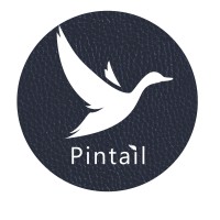 Pintail Limited logo - Similar company to Prosperh Project Eu