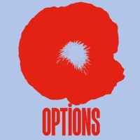 Options logo - Similar company to Aaltra