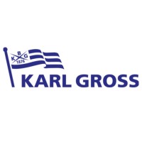 Karl Gross Logistics (Chile) SpA logo - Similar company to Devet Solutions