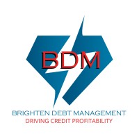 BRIGHTEN DEBT MANAGEMENT AGENCY SDN BHD logo - Similar company to Camdeus Group