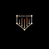 Baseline Analytics logo - Similar company to Mr·Net By Motionray