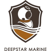 Deepstar Marine Pte Ltd logo - Similar company to 84 Divers Pte Ltd