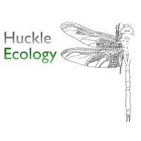 Huckle Ecology Ltd
