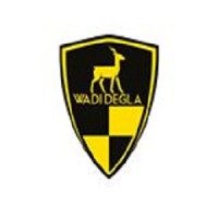 Wadi Degla Investments (K) Limited logo - Similar company to Alkaderalaraby For Recruitment