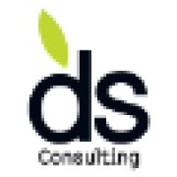 DS Consulting logo - Similar company to Opsarion