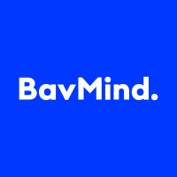 BavMind. logo - Similar company to Redefabrik Gmbh