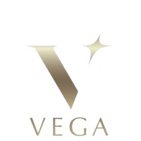 Vega Consulting logo - Similar company to Vega Immigration Consultancy Services