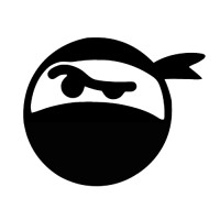 Intellectual Ninjas | digital marketing + web development logo - Similar company to Nxt Gen Web
