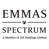 EMMAS Spectrum (Hong Kong) Limited logo - Similar company to Maple Study Link