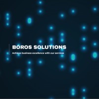 BOROS SOLUTIONS logo - Similar company to Arosoft Technology Sl
