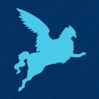 DND American Consulting Group LLC logo - Similar company to Plis!