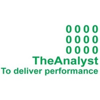 TheAnalyst logo - Similar company to Bhaskar Accounting Lab