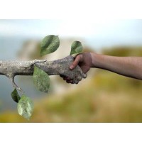 Alianza Cero Deforestación logo - Similar company to Next Esg