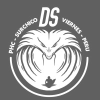 Ds Sur Chico