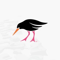 Oystercatchers NZ logo - Similar company to Afifatech