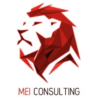 MEI Consulting Phoenix logo - Similar company to Chase Technology Consulting