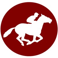 Epsom Coaches Group logo - Similar company to Dj Coaches