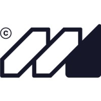 NetMex logo - Similar company to Sutilmind Corp S.A. De C.V.