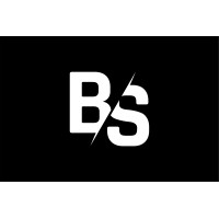 Borderless Solutions logo - Similar company to Borderless Business Solutions, Llc.