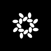 Coho logo - Similar company to Fearless