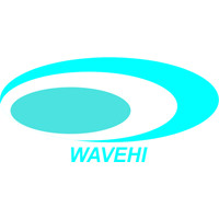Women Against Violence and Expediency Handling Initiative (WAVEHI) logo - Similar company to Anywash App