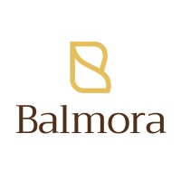 Balmora logo - Similar company to Avio Digitech Llp