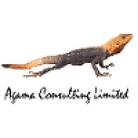 Agama Consulting Limited