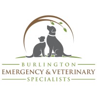 Burlington Emergency and Veterinary Specialists (BEVS) logo - Similar company to Onward Analytics