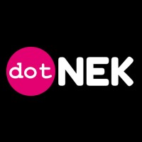 DotNek logo - Similar company to Nazar Studio