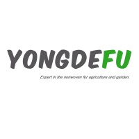 Shouguang Yongdefu Non-woven Co., Ltd
